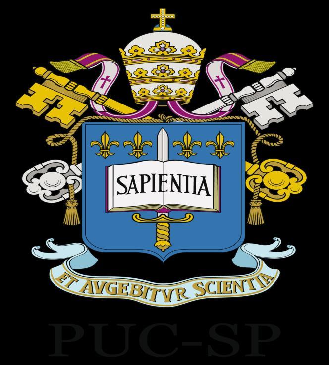 Pontifícia Universidade Católica de São Paulo Flavia Dos Santos Dopico R: 00147605 Superior em Tecnologia de Jogos Digitais