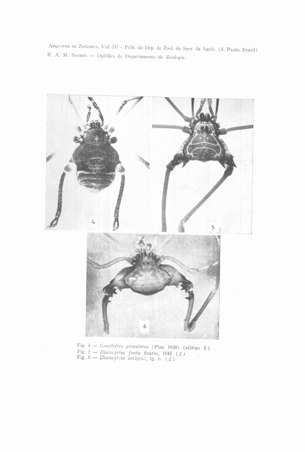 inprii<is iir Z ( m ~ o z ivul ~. 1V - P L ~ Ic10. Dep. de %o01da Secr. <ia Agric. (S. Pai~!o,Brasil) B. A. 1'1. SOAIIES - Opilióes do Departametito de Zoologia.