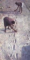 Laetoli, Tanzânia Sítio onde foram descobertas pegadas de hominídeos em cinzas vulcânicas, associados a pegadas de animais e restos vegetais. Idade: 3,7 3,5 M. A.