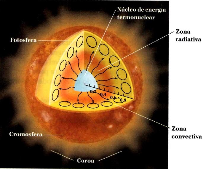 O Interior do Sol As reações termonucleares acontecem numa região de até 0,25 do raio solar, e
