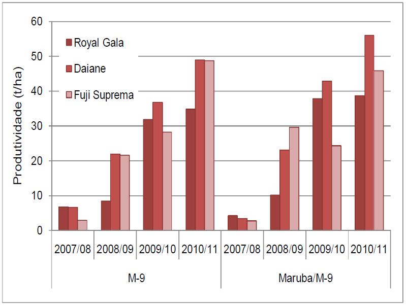 toneladas (37,8%) e de 23,0 toneladas (22,4%), respectivamente A produção acumulada da Daiane foi maior devido a dois fatores: ser mais produtiva que a Royal Gala e não alternar a produção como