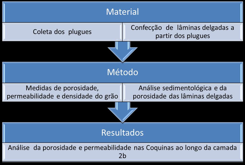 8 Figura 6- Esquema mostrando as etapas do trabalho: coleta de material, método utilizado para o trabalho e os resultados obtidos.