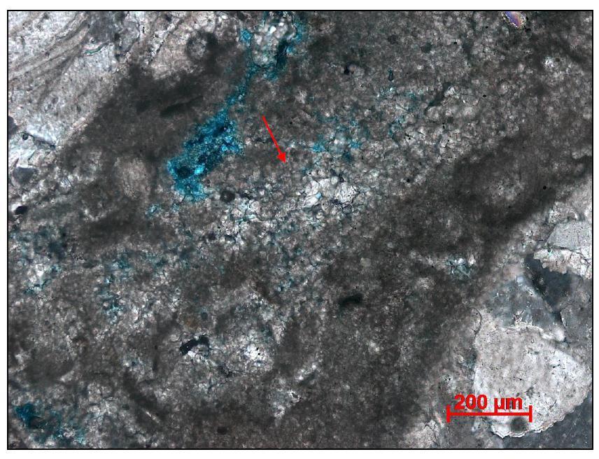 36 diretamente da água do lago, induzida por atividade microbial e pode ter sido depositada por decantação ou ter precipitado diretamente nos poros, como um cimento.