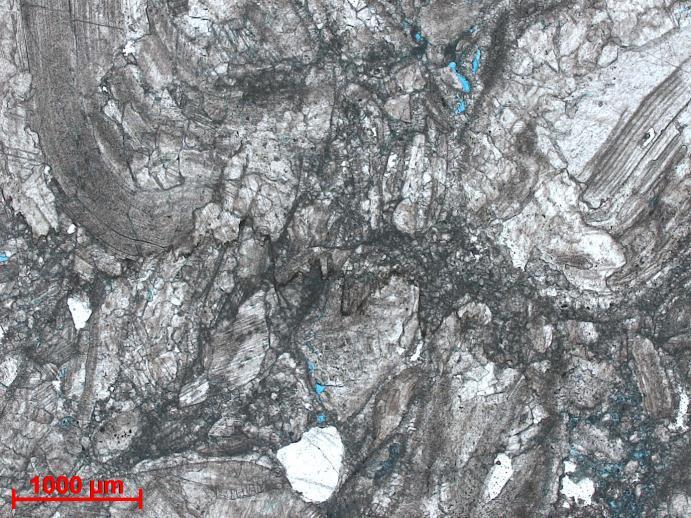 41 Figura 26- Fratura nas conchas evidenciando a