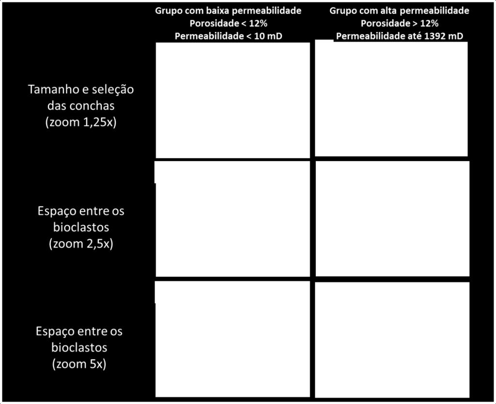 C: Espaço entre os bioclastos com zoom de 2, 5x é ocupado por micrita enquanto que em D o espaço entre os bioclastos está pouco preenchido.