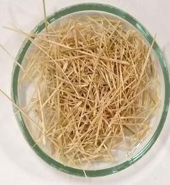 Avaliar e caracterizar as farinhas, as fibras e o amido do colmo jovem de três variedades de bambu (Dendrocalamus asper,