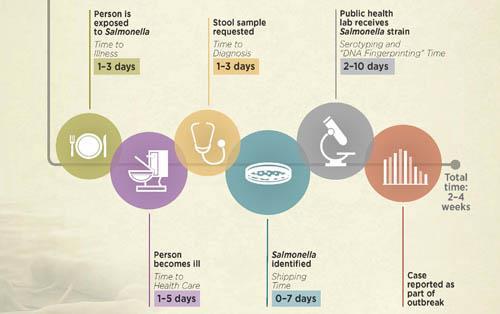 Cronograma para o relato de casos de infecção por Salmonella Pessoas expostas 1 a 3 dias Tempo para diagnostico 1 a 3 dias Identificação dos sorovares