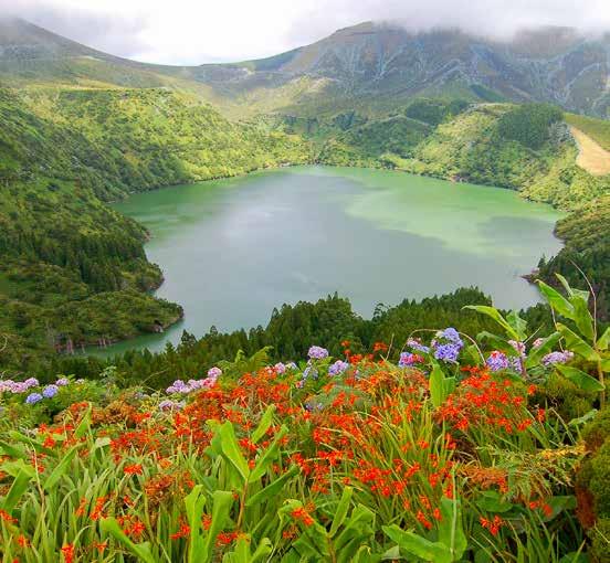 CIRCUITO CLÁSSICO 8 7 DIAS FAIAL PICO O PREÇO INCLUI p. a.