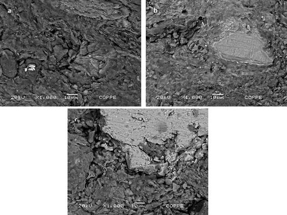 5 Figura : Micrografias obtidas por microscopia eletrônica de varredura das cerâmicas