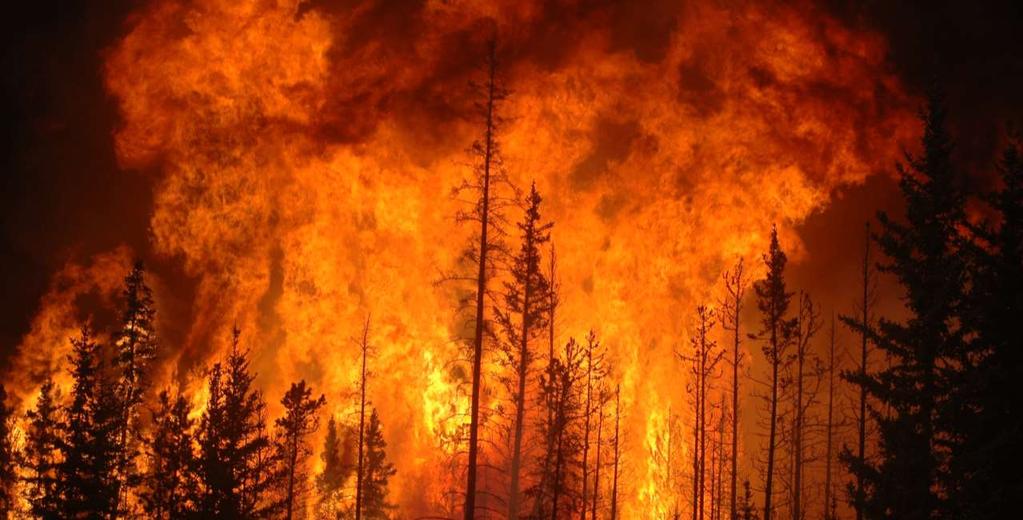 INCÊNDIOS FLORESTAIS - EUROPA Temperaturas elevadas e clima seco são os principais catalisadores dos incêndios na