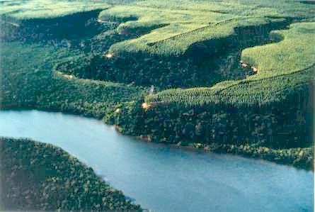 FLORESTAS E SUPRIMENTO DE MADEIRA ÁREA FLORESTAL EXISTENTE NO MUNDO -