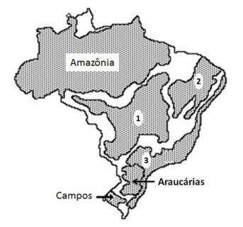 QUEST 3 (Uicap 2014) ANALISE a alternativa que indica corretamente a localização e uma característica predominante dos domínios morfoclimáticos do Cerrado, da Caatinga e dos Mares de Morros.