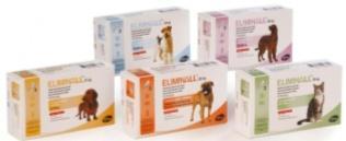 Relatório de Estágio Farmácia Central da Ribeira Grande Anexo IV: Poster de produtos de uso veterinário (frente) Recomendação Farmacêutica em medicamentos e produtos de uso veterinário Formação