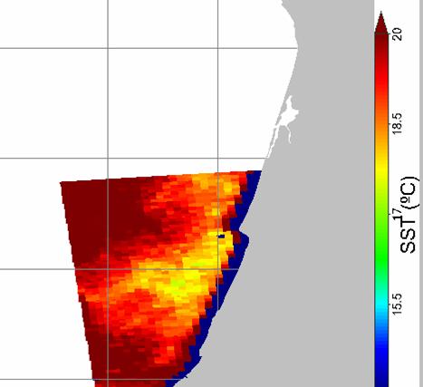 Figura 45 : Temperatura à superfície dia 28 de Setembro de 24. 2.5.3 Variabilidade do nível A variabilidade do nível na zona de estudo é dominada pelo efeito da maré.