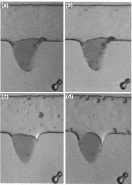 Revisão Bibliográfica 47 Da mesma forma, Luo et al. (2006) também comparou o efeito da elasticidade do polímero com relação a melhora da eficiência de deslocamento do óleo na escala microscópica.