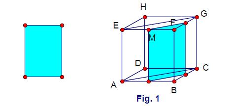 .2.3.4 P 2 5 2 5 2 0 0 2 cm 2. - B ; 2- A; 3- C; 4- D; 5- A; 6- A 2.