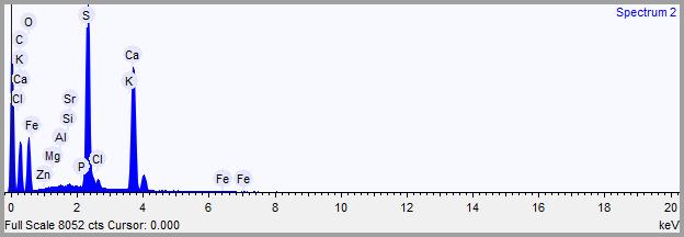 69 Figura 11 Espectrum global por EDS das partículas de gesso FGD.