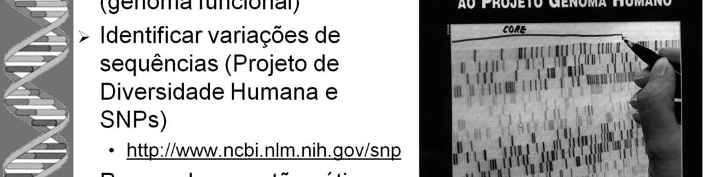 São mutações de ponto (comuns) no genoma que podem surgir por dois tipos de substituição de