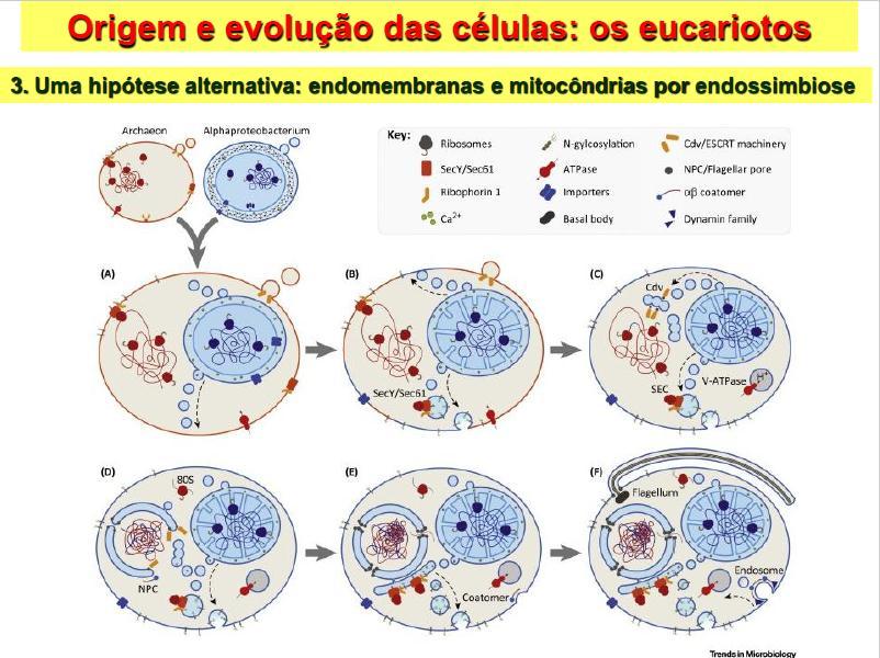 EXERCÍCIO 1.