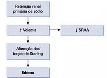 Fator VIII está marcadamente elevado na maioria dos pacientes nefróticos, predominantemente por síntese em células endoteliais.