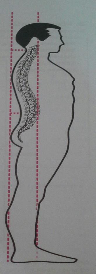 Vista lateral Tornozelo: articulação calcâneo cubóide Joelho: epicôndilo lateral
