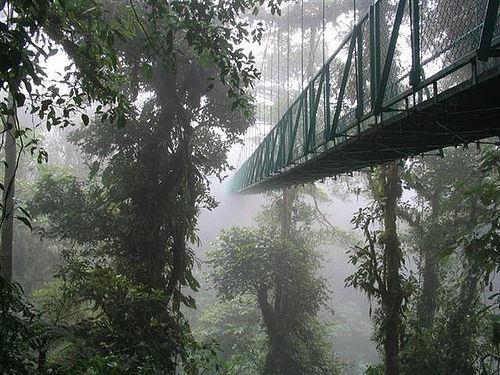 Dia 9 Arenal / Monteverde Partida em direcção ao Parque Nacional de Monteverde.