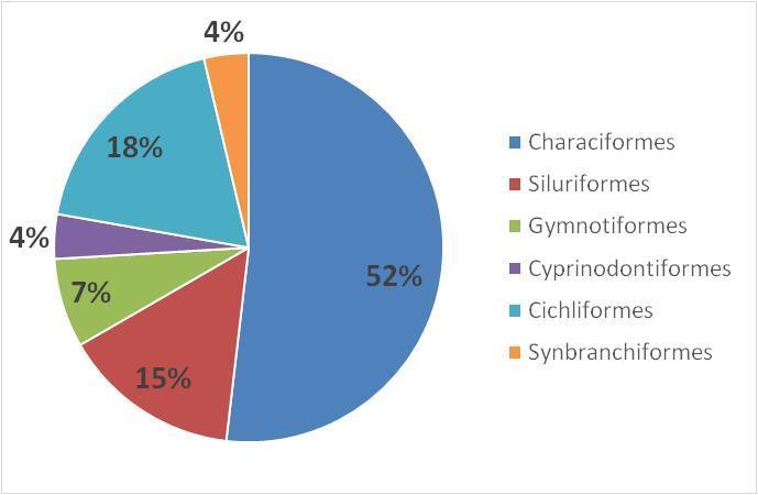 Ordem/Família/Espécie Ordem Cichliformes Família Cichlidae Abundância Ponto 1 Ponto 2 Ponto 3 Ponto 4 Total Australoheros sp.