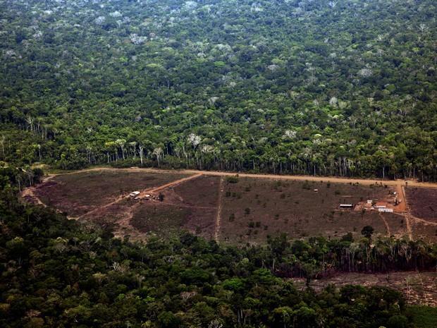 Clima Aquecimento Global O desmatamento da floresta tropical