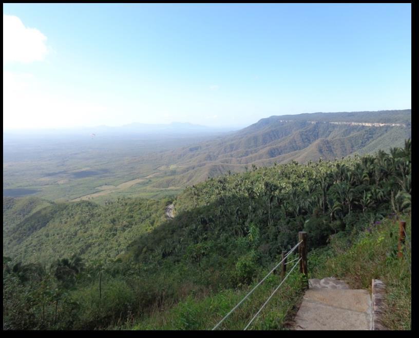 Destarte, o enclave de mata úmida do Planalto da Ibiapaba é representado por uma exuberante e expressiva floresta perenifólia abrangendo uma estreita faixa de terras que contrasta para oeste com o