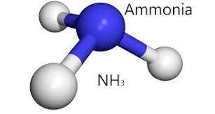Amônia Produto químico, geralmente, usado na limpeza doméstica;