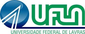 Universidade Federal de Lavras Departamento de Ciências Exatas Programa de Pós-Graduação em Ensino de Física - UFLA EDITAL COMPLEMENTAR MNPEF-UFLA N O 02/2016 PROCESSO SELETIVO DE INGRESSO NO CURSO