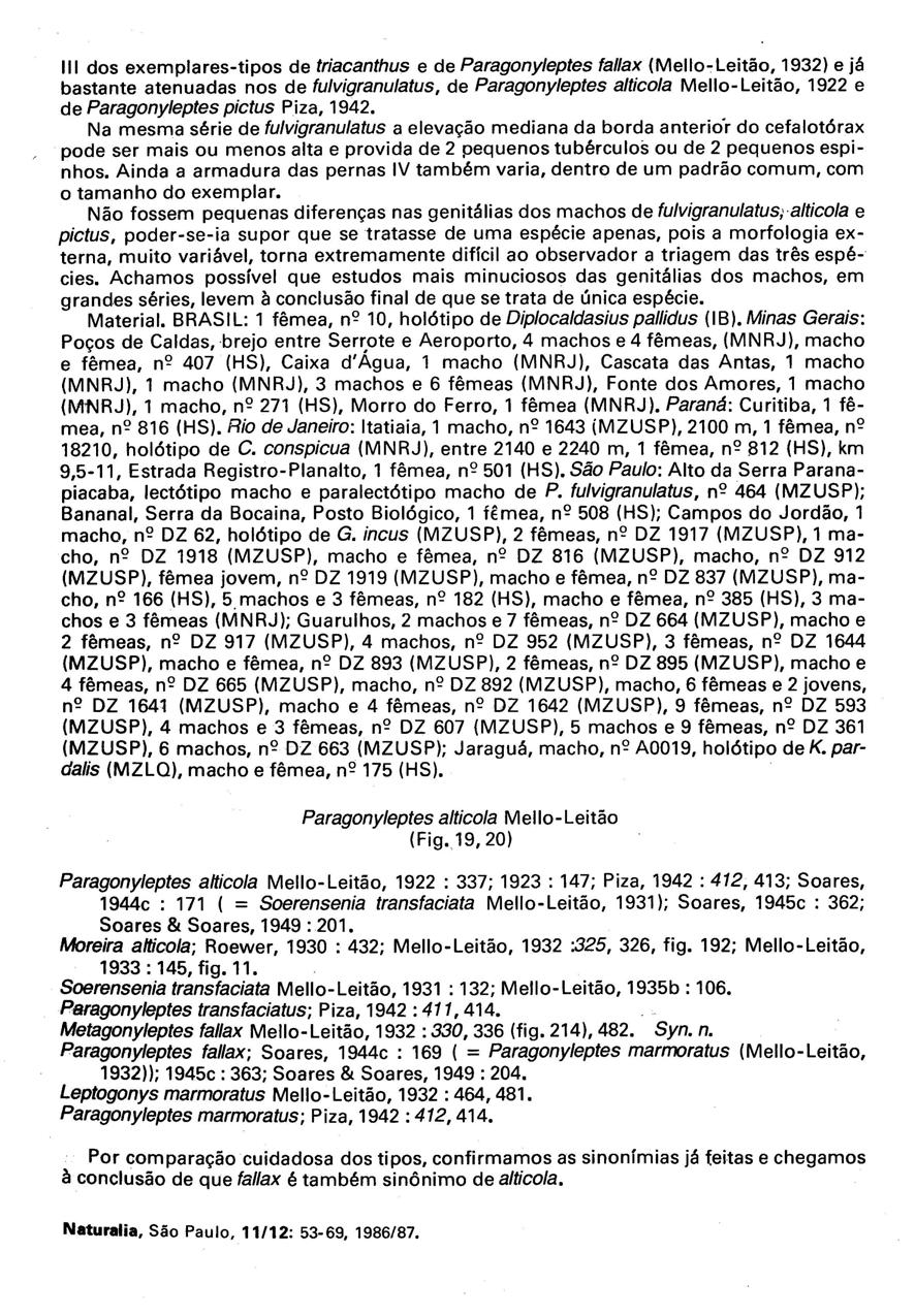 11 1 dos exemplares-tipos de triacanthus e de Paragonyleptes fallax (Mello-Leitão, 1932) e j á bastante atenuadas nos de fulvigranulatus, de Paragonyleptes alticola Mello-Leitão, 1922 e de