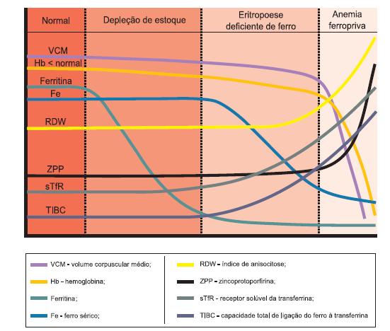 ANEMIA FERROPRIVA: