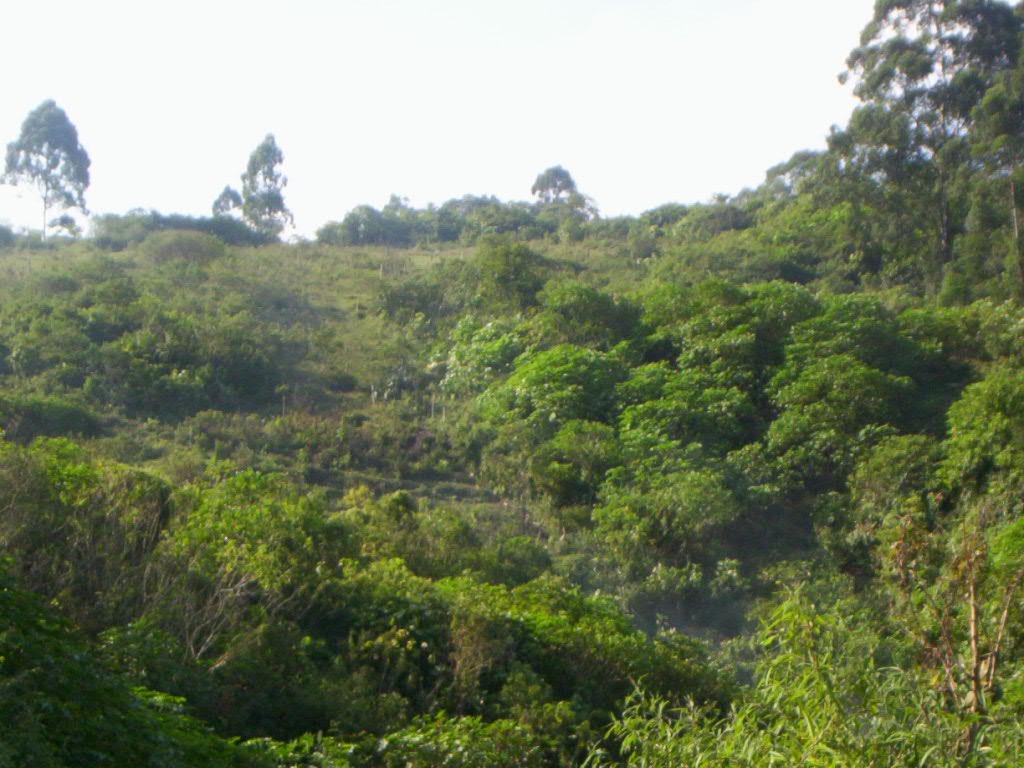 Meio ambiente: é tudo o que envolve ou cerca os seres vivos.