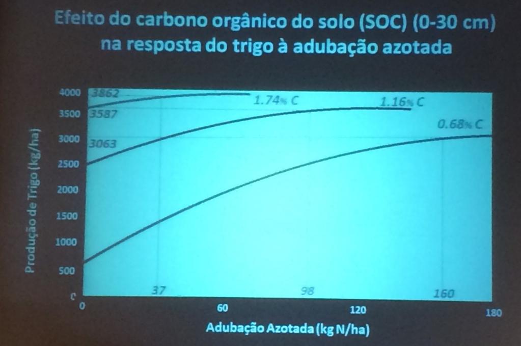 IMPORTÂNCIA DA MATÉRIA ORGÂNICA NO SOLO Apresentação A Gestão do Solo, base da