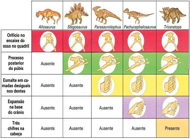 MATRÍCULA: Lista de Exercícios: Introdução à Biologia Evolutiva Código 125806 SOBRE SISTEMÁTICA 1) Analise a seguinte matriz de dados sobre características de cinco gêneros de dinossauros e construa