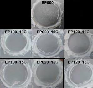 Figura 11 - Imagens fotográficas da região imersa durante os ensaios de EIE para as diferentes condições avaliadas de módulo de impedância em baixas frequências após 28 dias de imersão.