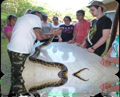 Instituto de Biologia Marinha e Mata Atlântica - IBIMM