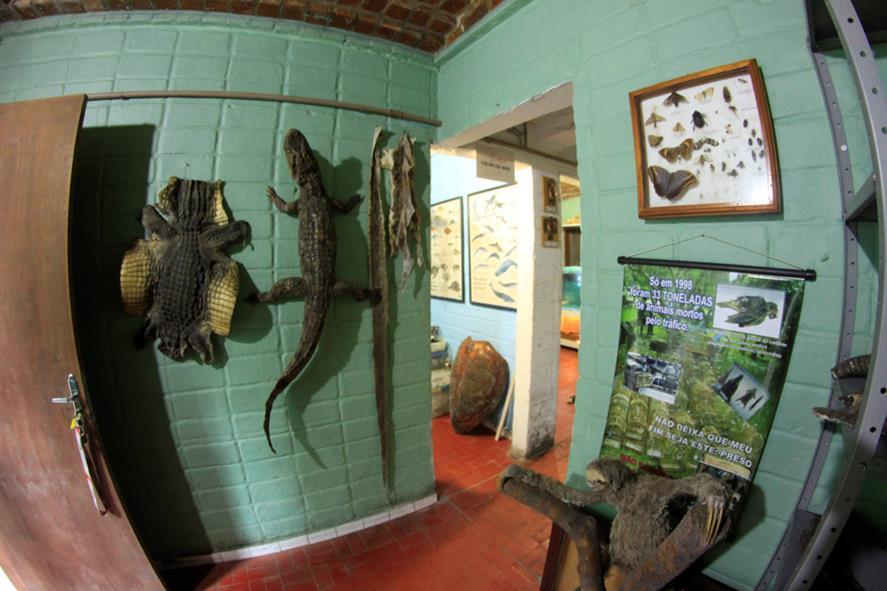 Instituto de Biologia Marinha e Mata Atlântica - IBIMM Completo acervo biólogo, com