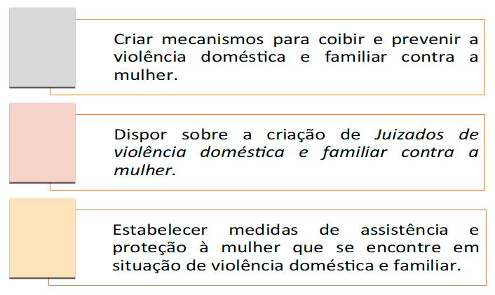 E foi justamente após essa manifestação por parte do CIDH que o governo brasileiro teve de tomar uma medida legal com o objetivo de possibilitar uma maior efetividade na prevenção e repressão da