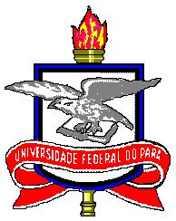 SERVIÇO PÚBLICO FEDERAL UNIVERSIDADE FEDERAL DO PARÁ INSTITUTO DE CIÊNCIAS DA SAÚDE PROGRAMA DE PÓS GRADUAÇÃO EM ENFERMAGEM Cidade Universitária José da Silveira Neto Campus Profissional III -