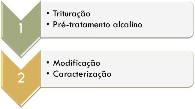 Figura 7 Estrutura molecular do ácido tânico (a), ácido poliacrílico (b).