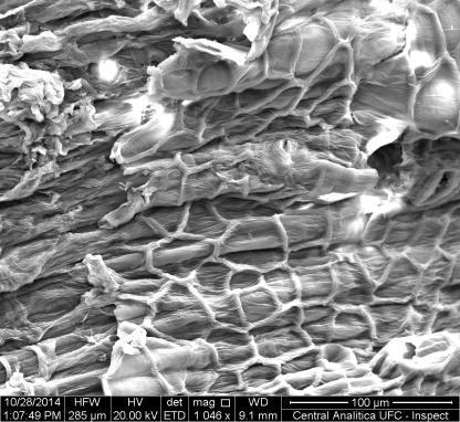 mesmos apresentam volume molecular na ordem de angstrom (Å