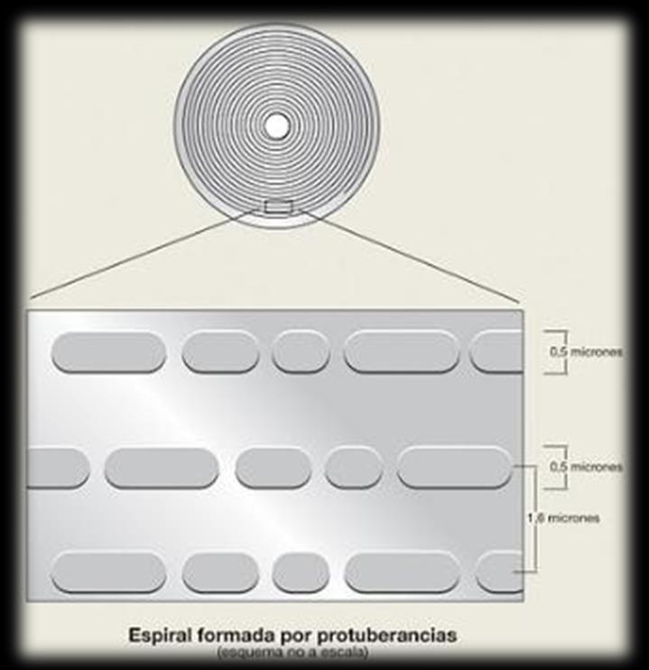 armazenados em espiral