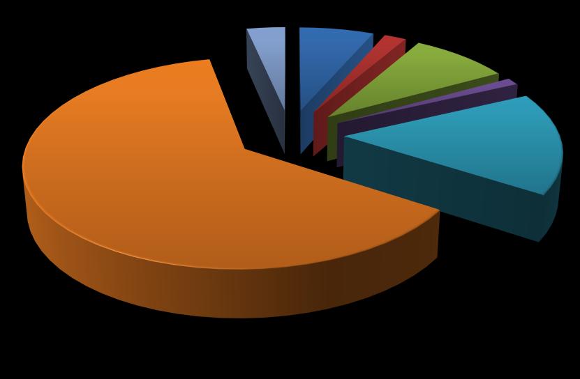 3,3% Distribuição Orçamentária 6,4% 1,9% 8,6% 1,1% Diárias Material de Consumo Despesas com Locomoção 62,5% 16,1% Pessoa Física