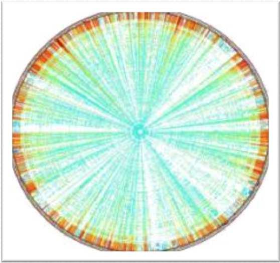 383 aa) 87% corresponde a genes ou ORFs 11,4% corresponde a