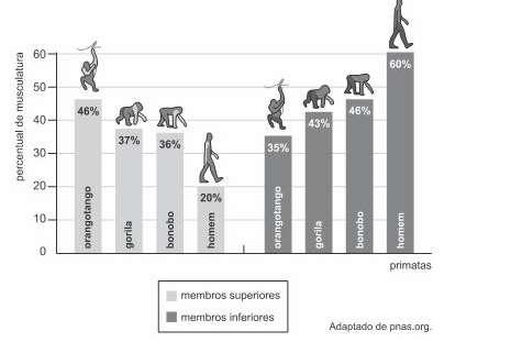 b) O desenvolvimento tecnológico não trouxe apenas extensões do corpo e dos sentidos do ser humano, trouxe também invenções que melhoraram sua condição de vida.