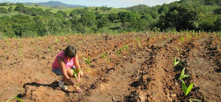 Retrocesso em políticas públicas agrava fome no Brasil Coordenador da entidade afirma que o Brasil falha também ao não valorizar movimentos sociais ligados à agricultura familiar ONU Alimentação