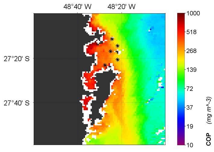 3. Resultados e Discussão O conjunto de valores da concentração de COP pareados entre os dados in situ e as imagens MODIS/Aqua totalizaram 35 amostras, sendo 30 obtidas na área oceânica e 5 na área