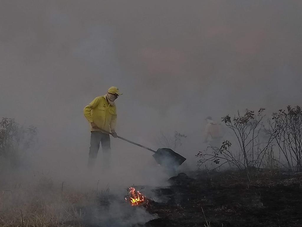 parque após esta data para